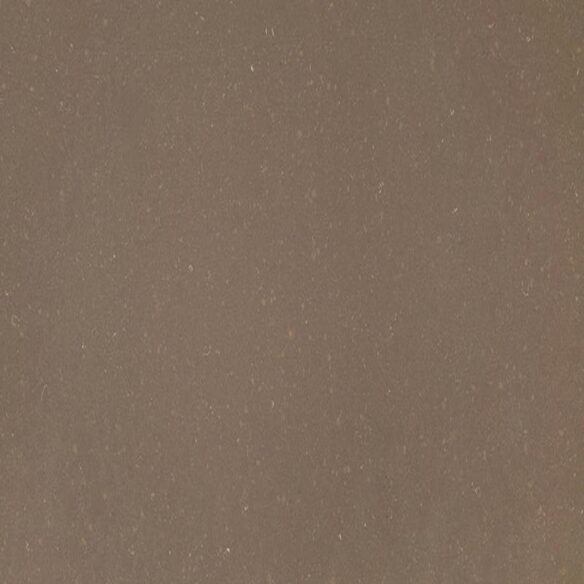 Fossil Brown