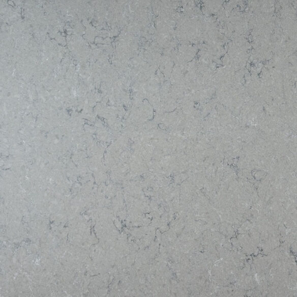 Fantasy Gray